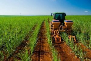 Productores advierten paralización productiva de no solventar la crisis de diésel en 15 días - AlbertoNews