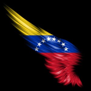 David Uzcátegui organiza jornadas de desinfección en Nueva Casarapa