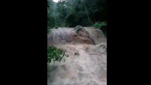 Abundantes lluvias en Vargas generaron alarma entre los pobladores (videos)