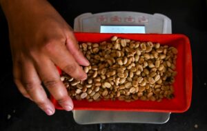 Alto costo del café lo vuelve todo un lujo para el consumo de los venezolanos - AlbertoNews