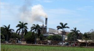 Comenzó el desastre: confirman paralización de una planta azucarera en Aragua por falta de gasoil - AlbertoNews