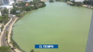 Crimen ambiental: Vertimientos y falta de oxígeno secan a 'El Laguito' en Cartagena - Otras Ciudades - Colombia