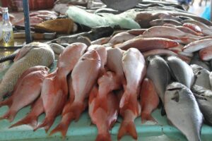 Crisis económica destruyó las tradiciones: Precio del pescado lo saca de la mesa en esta Semana Santa - AlbertoNews
