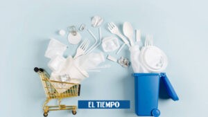 Debate en Salento, Quindío, por la prohibición del uso del plástico - Otras Ciudades - Colombia