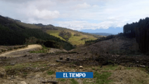 Debate jurídico a director de Corporación Autónoma por ríos de Cauca - Cali - Colombia