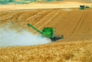 Descifrado: Empezar a invertir en el sector agropecuario antes de que sea tarde