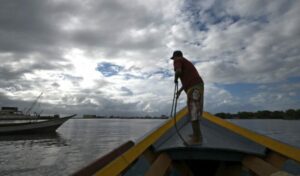 Ecosistemas en peligro: En Sucre la pesca de arrastre acaba con el Golfo de Cariaco - AlbertoNews
