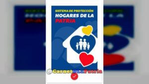 Empezaron a depositar el bono Hogares de la Patria: Estos son los montos