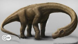 Es oficial: el titanosaurio más antiguo del mundo es argentino | Ciencia y Ecología | DW