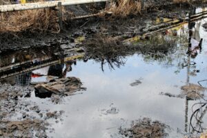 'Esto es un ecocidio, no lo podemos permitir': Dip. Florido denuncia crisis ante contaminación del Lago de Maracaibo - AlbertoNews