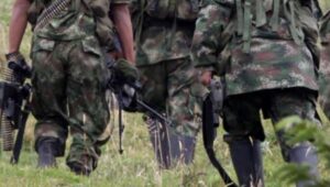 Expertos señalan que la guerrilla colombiana tiene más de 10 años actuando en Apure