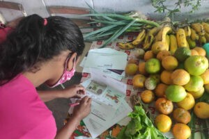 FAO reanuda programa de ayuda a familias pobres tras dudas sobre manejo de los fondos