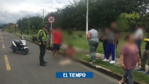 Hombre mató a un perrito con una escopeta de perdigones en Palmira - Cali - Colombia