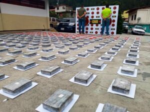 Incautados 5.100 kg de cocaína en dos campamentos desmantelados en Zulia