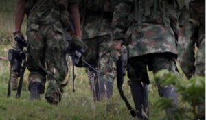 La FANB dice haber neutralizado varios terroristas de un grupo colombiano