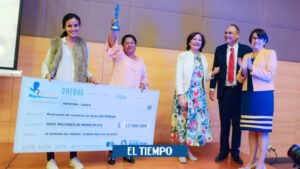 La Fundación Mundo Mujer acompañará a sus usuarias en el cambio a lo digital - Cali - Colombia