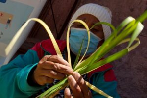 La covid-19 reduce ventas de palmas para el Domingo de Ramos en Honduras - AlbertoNews