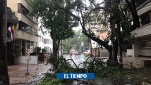 Mañana de prolongado aguacero y neblina en Cali - Cali - Colombia