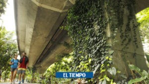 Medellín: Top 5 de las obras de infraestructura y ecociudad la ciudad - Medellín - Colombia