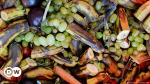 ONU: el 17 por ciento de los alimentos termina en la basura | Ciencia y Ecología | DW