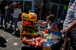 Productores en alerta: 20 mil toneladas de hortalizas estarían en riesgo por falta de gasoil - AlbertoNews