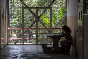 Profesores universitarios proponen a maestros plan de acción conjunto en defensa de la educación y del salario