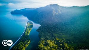 Puerto en el Golfo de Tribugá, Colombia: ¿más contenedores, menos ballenas? | Ciencia y Ecología | DW
