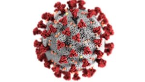 Coronavirus India