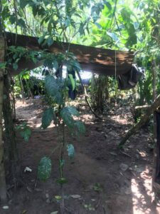 Reportan bombardeo militar a presunto campamento de las Farc en La Victoria