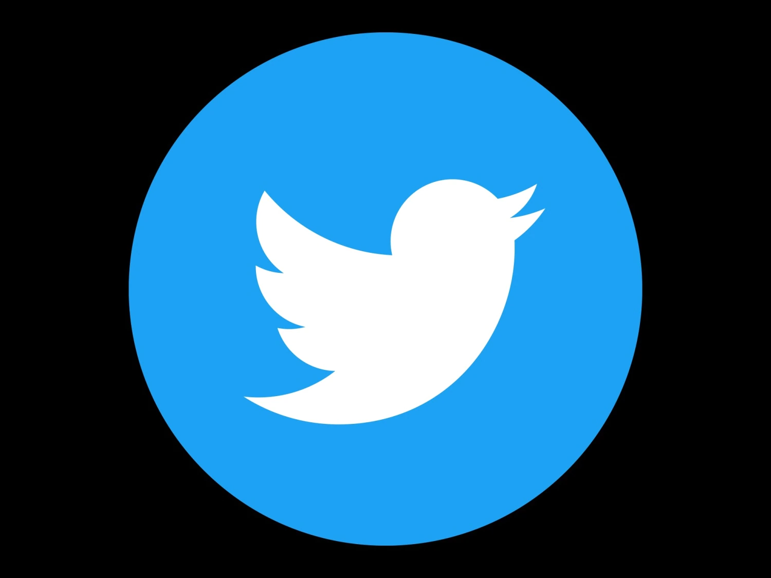 Twitter cumple 15 años y se enfrenta a crecientes dolores de popularidad | Voice of America