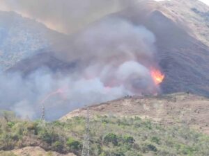 Alertan sobre daños ambientales en parques nacionales de Venezuela