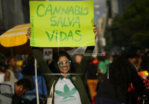 Brasil autoriza cultivo de cannabis para uso medicinal