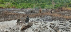 Denuncian que grupos irregulares incendiaron el Fundo Barimisagua