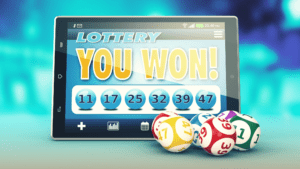 ¿Cómo funciona un software de lotería?