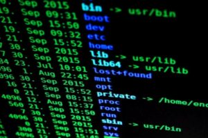 Durante el 2021 se vieron afectados por bloqueos 59 sitios web