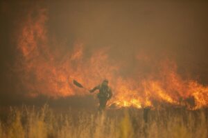 El incendio de la Sierra de la Culebra (Zamora) se extiende al valle del Tera y afecta ya a 25.000 hectáreas