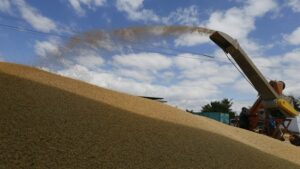 España ayudará a sacar grano de Ucrania y lo almacenará en Tarragona y Barcelona