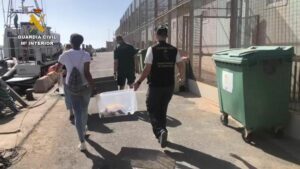 La Guardia Civil y Equinac devuelven dos tortugas bobas al medio marino