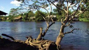 Mantienen búsqueda de tres pescadores desaparecidos en el río Orinoco