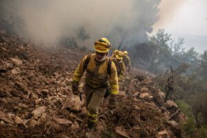 Más de 350 efectivos de la Junta, MITECO, UME y varias CCAA trabajan en el incendio de la Sierra de la Culebra (Zamora)