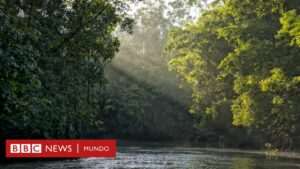 Ratanabá: por qué la leyenda de la ciudad perdida en el Amazonas "no tiene sentido", según un arqueólogo