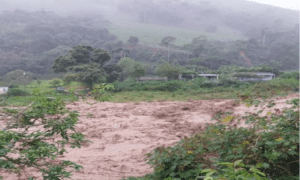 Reportan como desaparecidos a dos niños que cruzaron un río en Mérida
