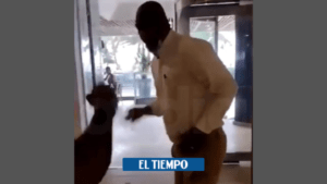 Agresiones de botones a turistas en hotel de Cartagena - Otras Ciudades - Colombia