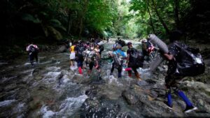 Articulan esfuerzos con la OEA para atender crisis migratoria en la selva del Darién