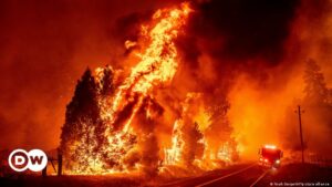 California enfrenta uno de los mayores incendios forestales del año | El Mundo | DW