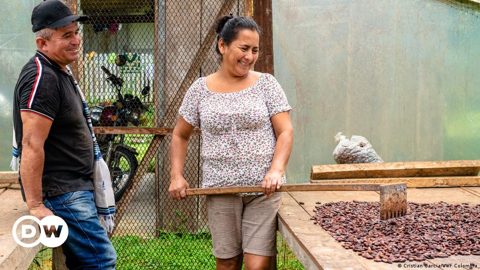De la coca al cacao: una nueva vida para los campesinos de Caquetá, en Colombia | Ciencia y Ecología | DW