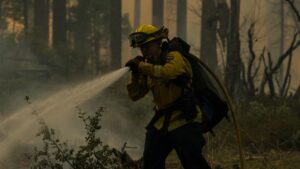 El fuego amenaza las secuoyas milenarias del parque de Yosemite en California