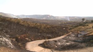 El fuego ha arrasado 1.000 hectáreas en Casas de Miravete y ya ha llegado al Parque Nacional de Monfragüe