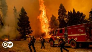 El incendio Oak se extiende sin control en California | El Mundo | DW