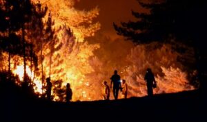 El incendio de Monsagro (Salamanca) afecta ya a más de 9.000 hectáreas
